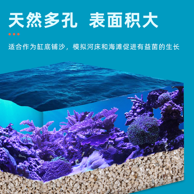 蓝色珍品海缸底砂珊瑚沙鱼缸造景沙海沙专用菲律宾沙天然沙子海砂-图0