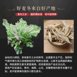 Sichuan Wild Ophiopogonong Зимняя зимняя зимняя зимняя зима -Snor -Grade Symnoma -Grade Publissable Wat