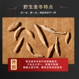 Sichuan Wild Ophiopogonong Зимняя зимняя зимняя зимняя зима -Snor -Grade Symnoma -Grade Publissable Wat