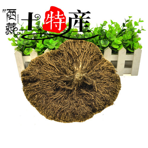 灵芝干货西藏雪灵芝雪灵芝整朵500克40元包邮 - 图1