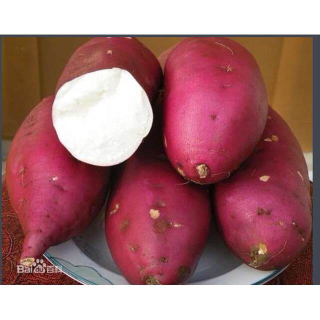ພິເສດ Dongping Zhengliang ຍີ່ຫໍ້ Pure Sweet Potato Vermicelli Gift Box
