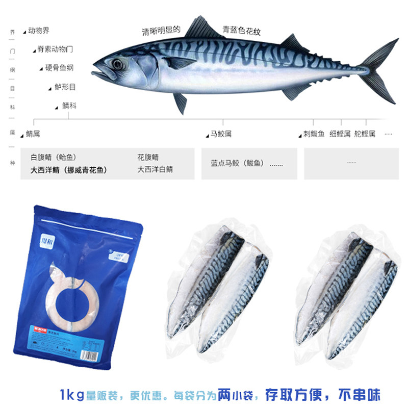 探海日志挪威青花鱼片去头去骨天然鲜美营养可香煎烧烤1KG家庭装,淘宝优惠券,粉丝福利购,淘宝优惠卷