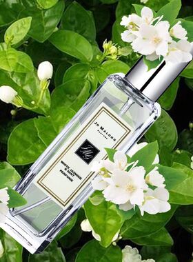蓝风铃香水30ml英国梨鼠尾草清新