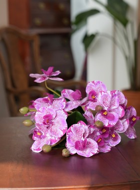 仿真花/欧式3D手绘印染仿真保湿手感蝴蝶兰三束一组