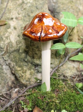 花盆可爱风陶瓷蘑菇草坪庭院摆件