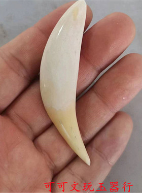 天然骆驼牙齿吊坠牙文玩古玩保真骆驼牙收藏护身男士项坠动物牙齿