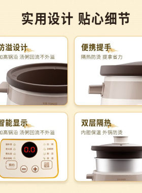 3L电炖锅全自动炖煮多功能快炖锅