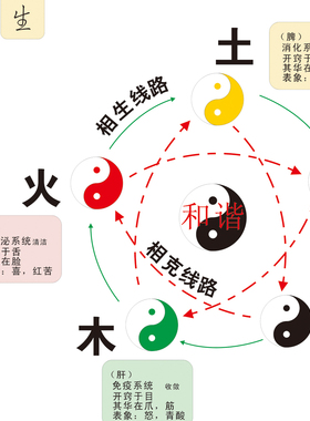 人体脉络穴位图挂画 中医脏腑理论经脉图挂图海报 中医馆墙贴画