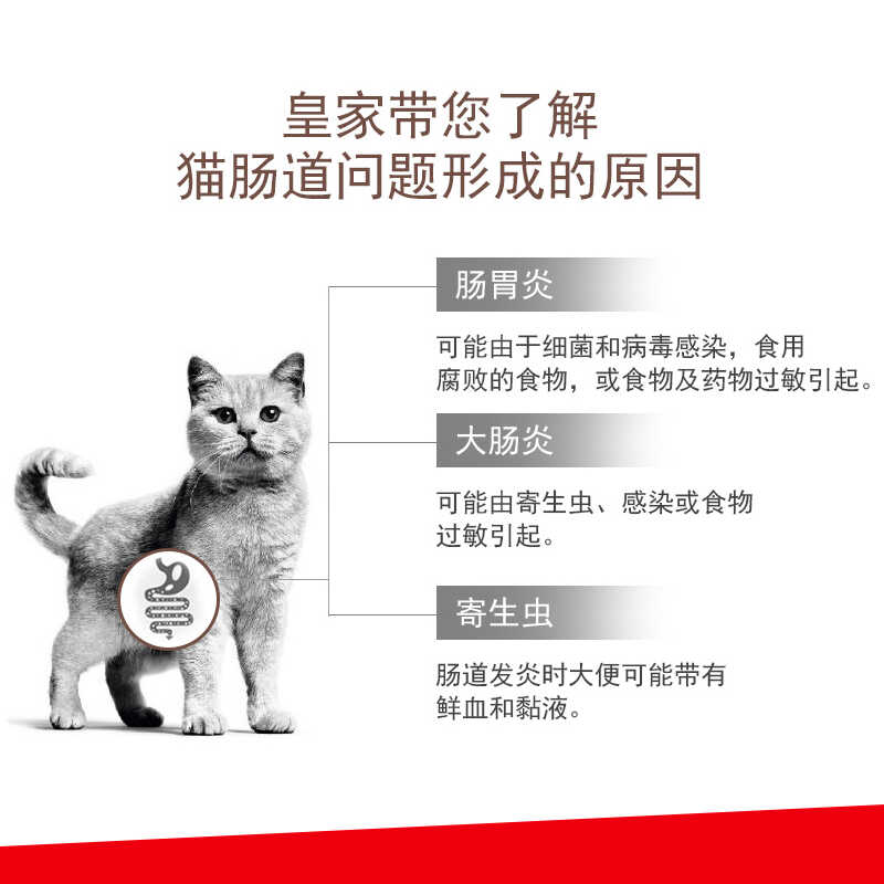 皇家成猫肠道全价处方猫粮GI32敏感肠胃护理软便幼猫肠道 - 图0