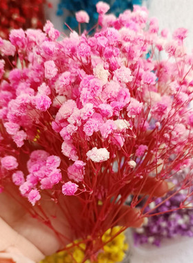 满天星干花花束手工diy花材包装饰摆件插花瓶真花永生花手工制作