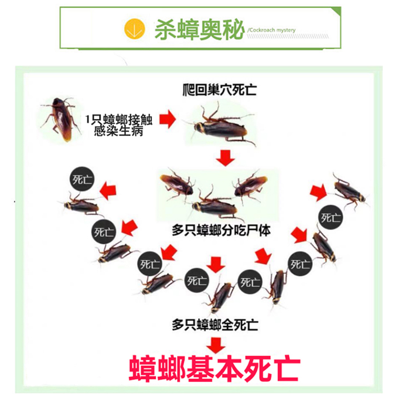 蟑螂药一窝端全窝端正品非无毒家用消灭章狼强力特效一次净喷雾剂 - 图0