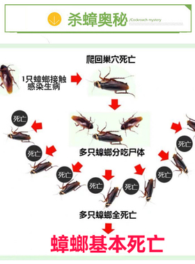 【回头客1万+】升级版蟑螂一喷净