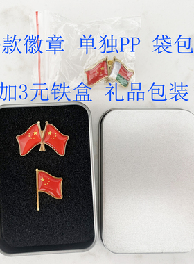 定做商务胸针交叉徽章