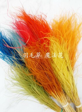 diy羽毛草迷雾玻璃罩车挂芦苇