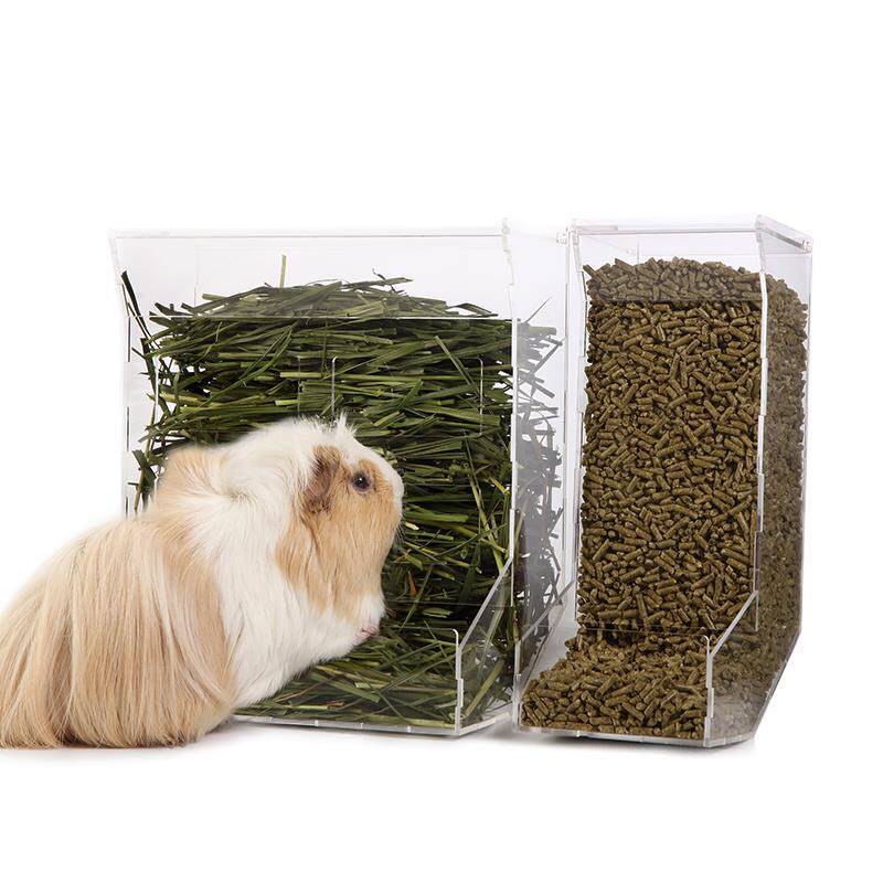automatic guinea pig feeder