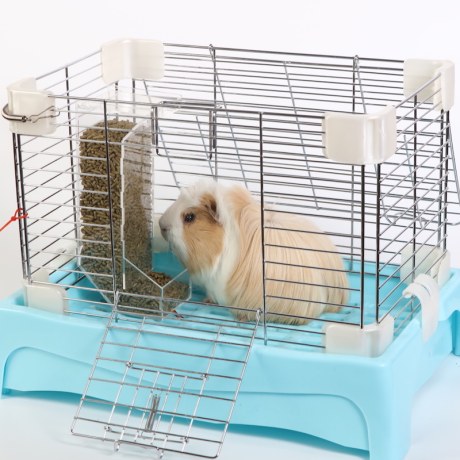 automatic guinea pig feeder