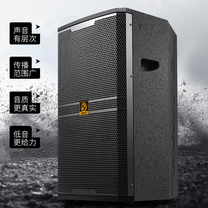 狮乐bm-12十二寸专业舞台演出音箱 狮乐KTV/卡拉OK音箱
