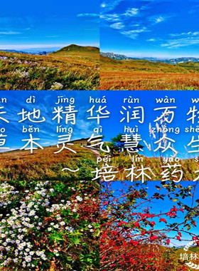 草本温和舒适清爽除味去汗香体露