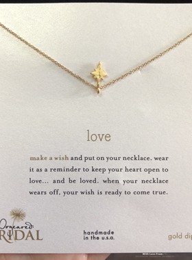 love主题卡片 北极星 许愿项链 银镀金链锁骨链 美国Dogeared正品