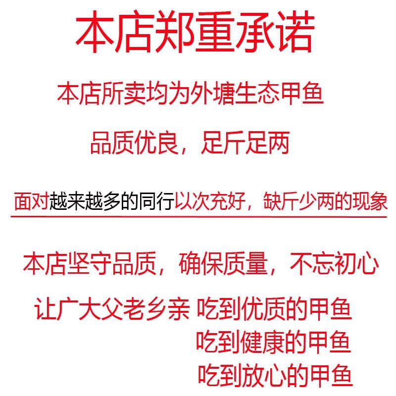 【外塘青黄色鲜活大甲鱼活体】中华鳖团鱼王八食用公母甲鱼现杀好,淘宝优惠券,粉丝福利购,淘宝优惠卷
