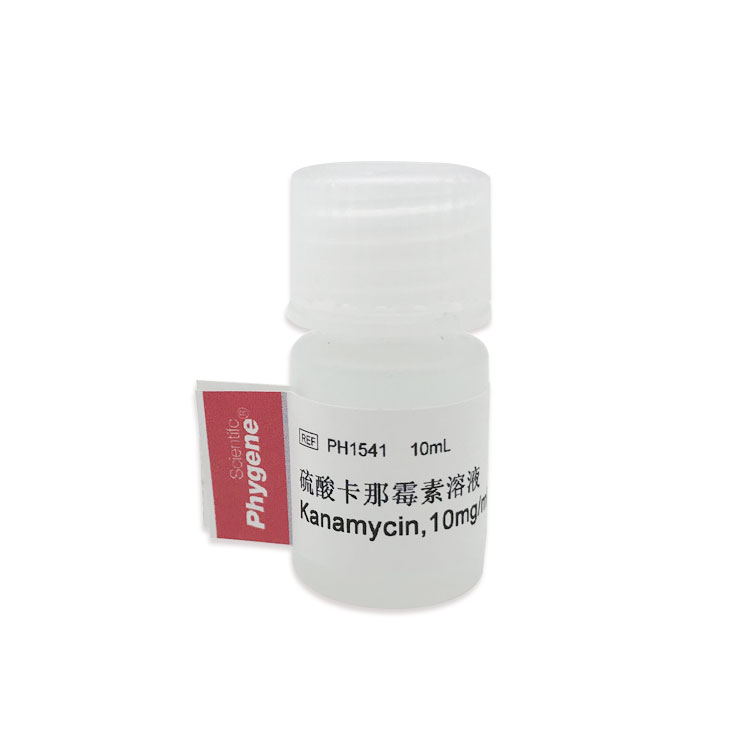 PH1541 硫酸卡那霉素溶液 Kanamycin 10mg/mL 试剂 10mL PHYGENE - 图0