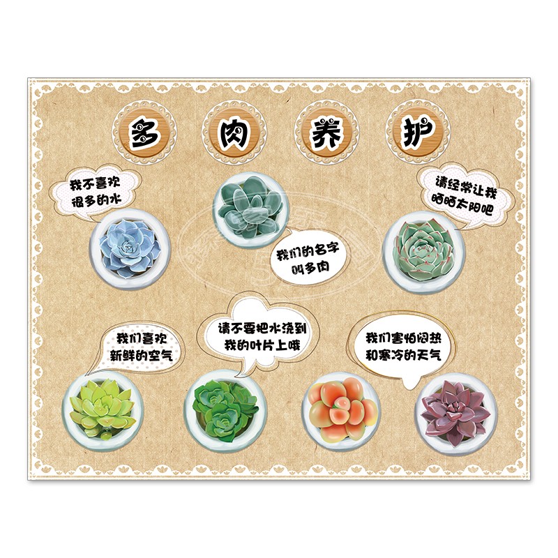 多肉植物种子种子 新人首单立减十元 21年8月 淘宝海外