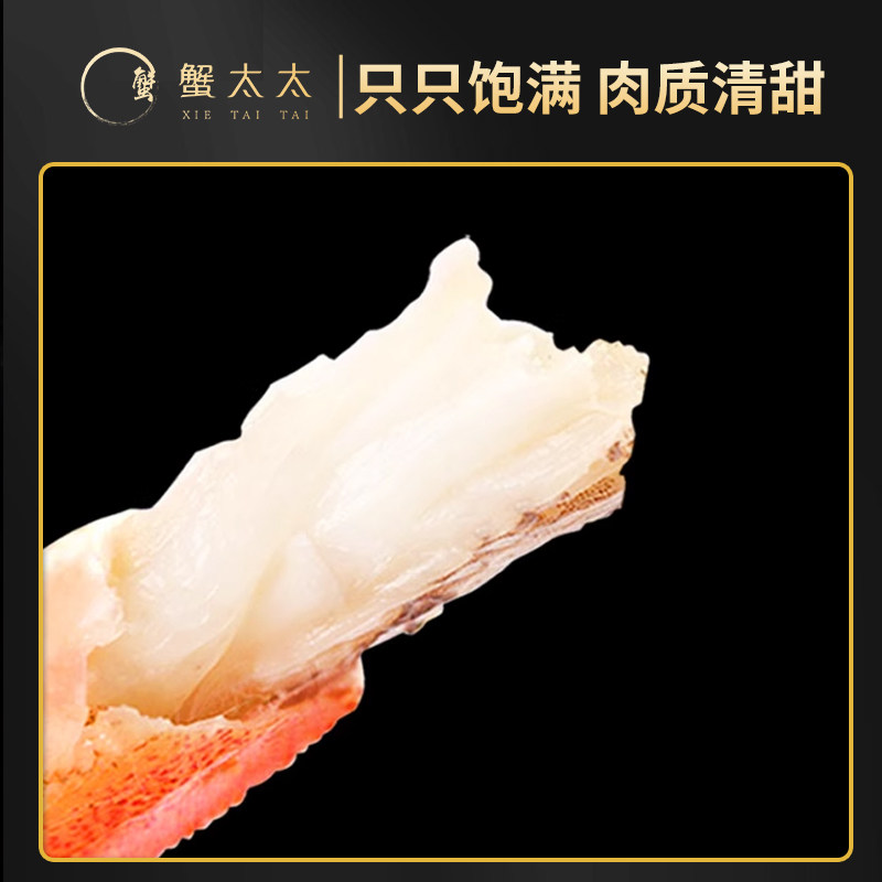 【中秋送礼】蟹太太公3.5两母2.5两8只