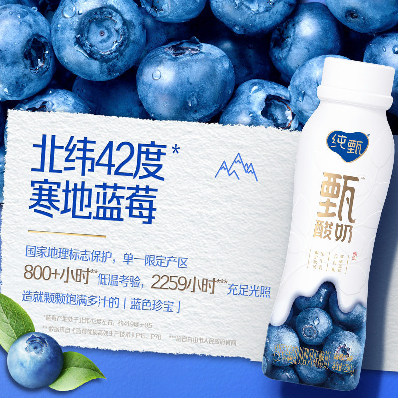 蒙牛纯甄甄酸奶蓝莓味风味酸牛乳PET瓶（礼盒装）230g×10瓶_虎窝淘