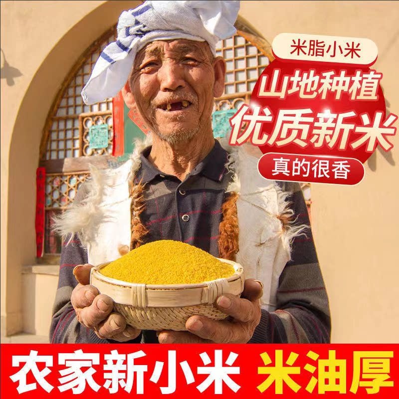 正宗米脂黄小米月子米宝宝米早餐小米粥米批发营养美味小黄米批发