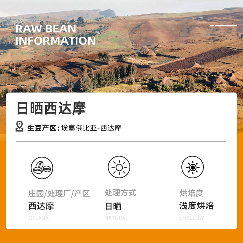 DGTOP埃塞西达摩手冲咖啡豆美式100g单品阿拉比卡咖啡豆SOE浅烘焙
