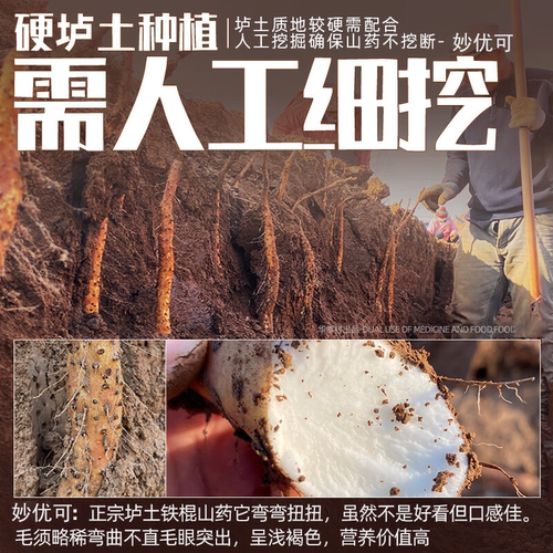正宗河南焦作温县垆土铁棍山药特产铁杆山药产地直发新鲜5斤整箱 - 图1