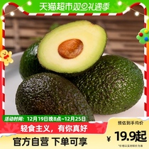 Imported Bull Oil Fruits Fresh Avocado Pears When Season Fresh Fruits 