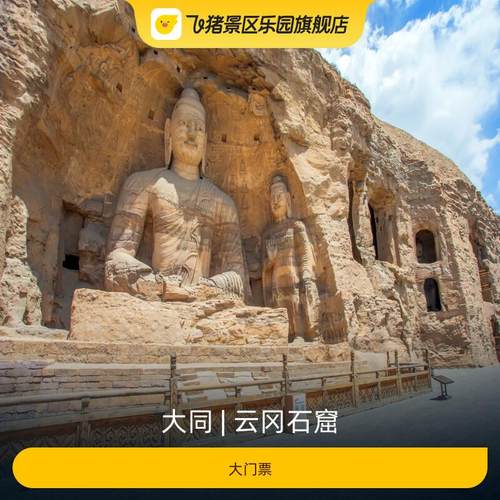 云冈石窟大门票