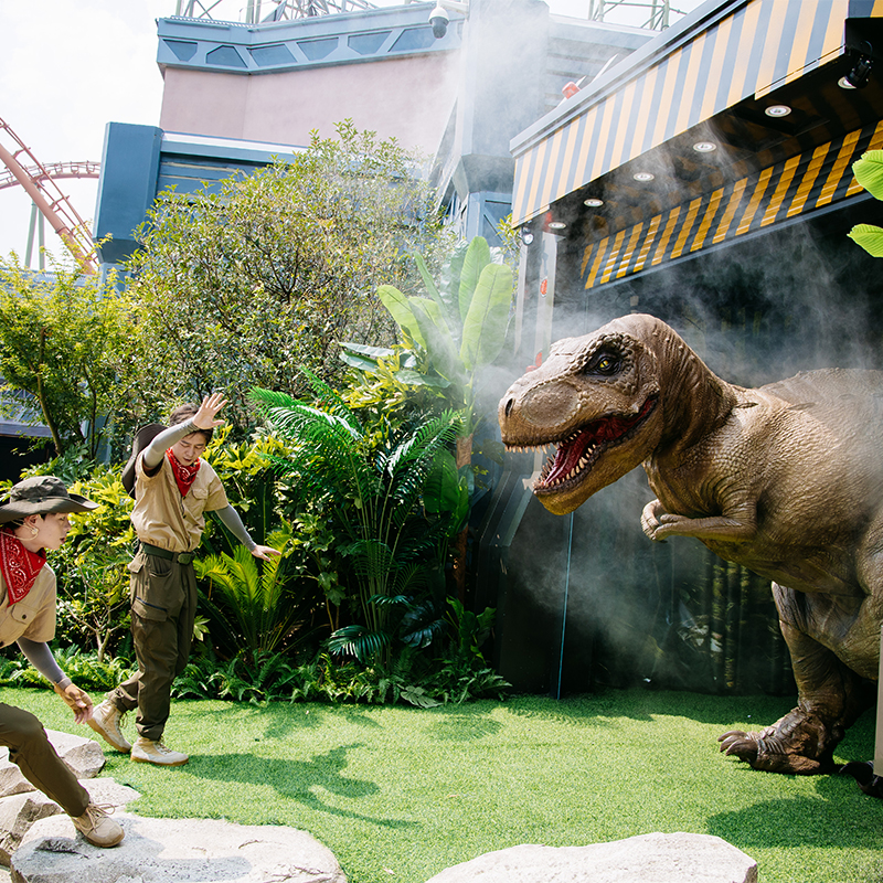 л԰ܱ߾Ƶ1+˫˿԰ײ 589Ԫ(ȯ)