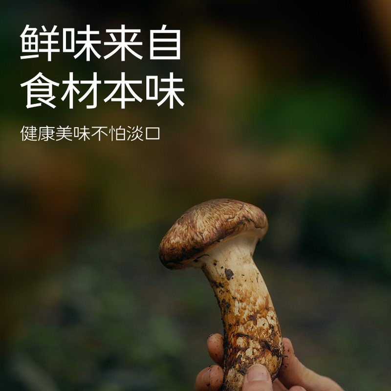 臻选松茸鲜调味料松鲜鲜无添加防腐剂替代鸡精盐炒菜
