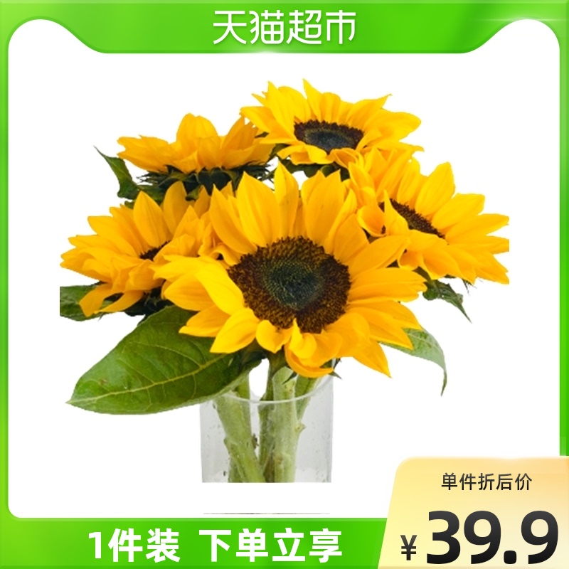 向日葵花束包装 新人首单立减十元 22年2月 淘宝海外