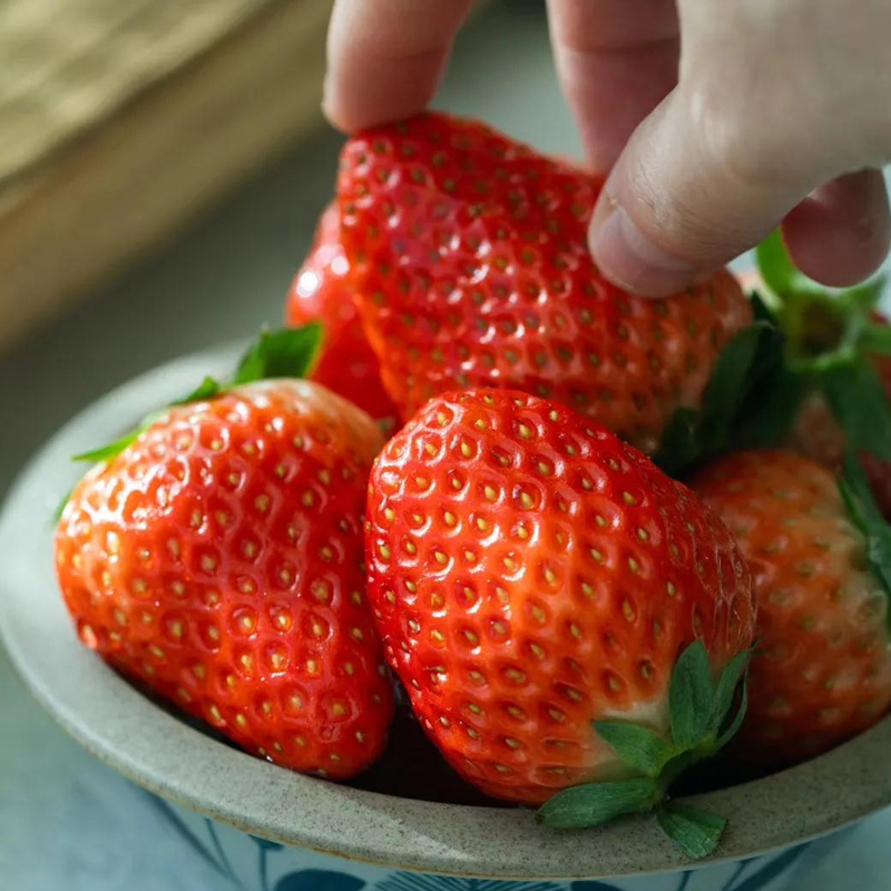 Ĵɽ ¶ղݮ Ͳݮժˮʱ 300g*2 32.9Ԫ+5ԪԽ(ȯ)