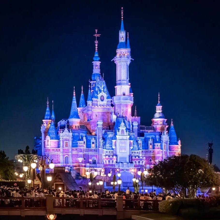 上海迪士尼快速通道免排队可选VIP尊享卡3/6/8/9项FP套餐导览服务,淘宝优惠券,粉丝福利购,淘宝优惠卷