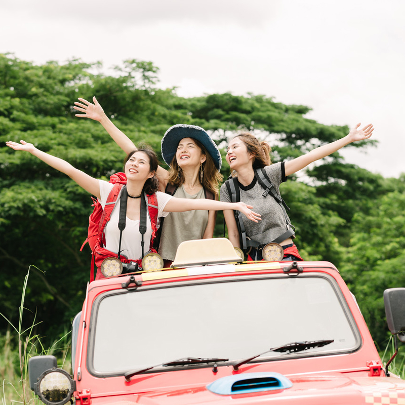 西双版纳包车西双版纳旅游中科院植物园野象谷傣族园森林公园 - 图1