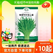Suo Wo Quick Cuizu Leaf Hollow Vegetable Seed Vegetable Seed Vegetable Seed 250g Hole Rapeseed