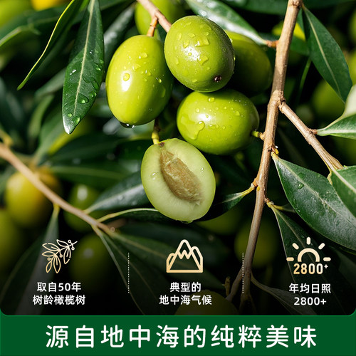 碧欧奇百分百初榨特级纯橄榄油热炒小瓶食用油搭宝宝婴儿辅食佐餐 - 图0