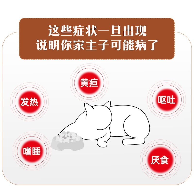 皇家成猫肝脏全价处方粮HF26/1.5kg猫肝炎肝损伤黄疸处方护肝猫粮,淘宝优惠券,粉丝福利购,淘宝优惠卷