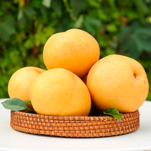 山东秋月梨当季新鲜梨子甜蜜爽口多汁【】 - 图3