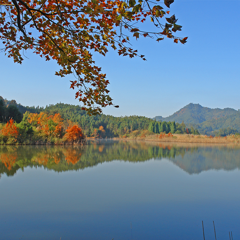 [千岛湖龙川湾-门票+园内景交车+千岛湖寻找狮城体验游 ]龙川湾千岛湖寻找狮城体验游 - 图3