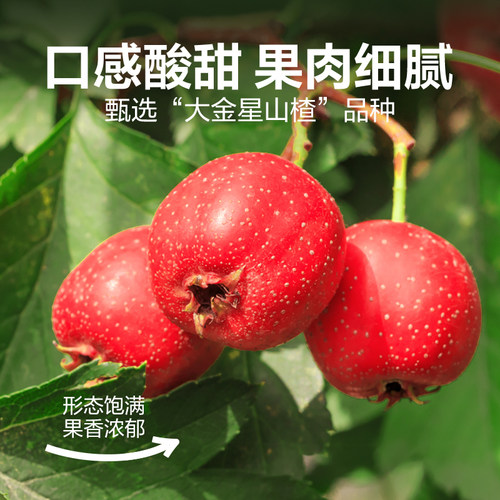 良品铺子山楂片儿童年货小零食散装怀旧开胃零食山楂类制品 - 图2