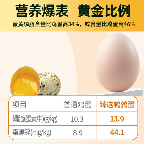 臻选神丹叶黄素鲜鹌鹑蛋50枚无抗养殖孕妇宝宝营养辅食蛋 - 图1