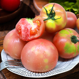 【绿行者】青粉沙瓤西红柿5斤装券后14.9元包邮