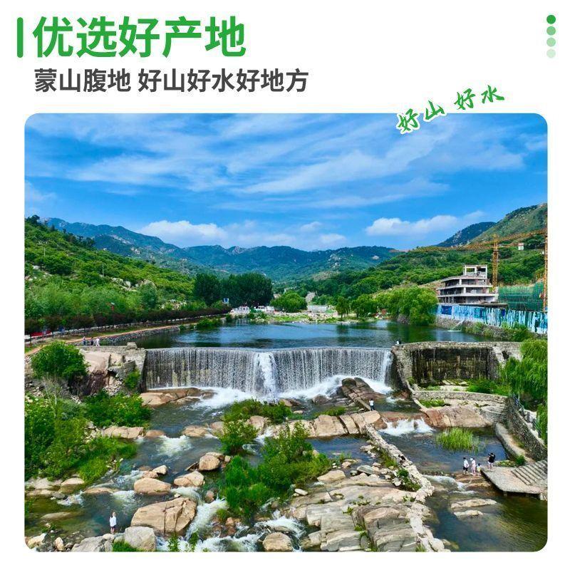 Liuhe duck product combination fresh frozen raw duck meat duck heart duck liver duck offal pet snacks duck breast universal for cats and dogs