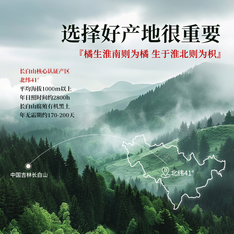 长白山人参西洋参礼盒100g/盒大片年货营养品送礼送长辈正品滋补
