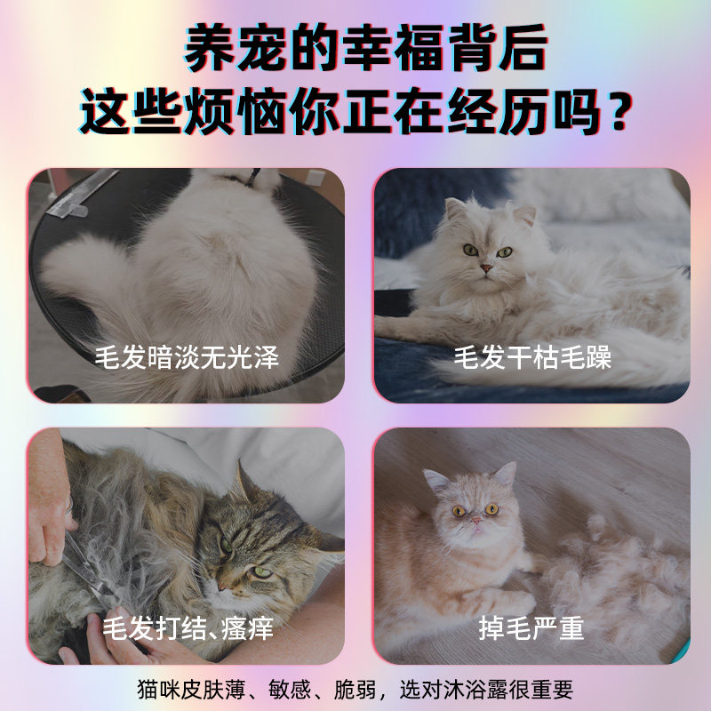 雪貂留香洗护二合一宠物猫咪沐浴露浴液洗澡专用杀菌除螨布偶英短,淘宝优惠券,粉丝福利购,淘宝优惠卷